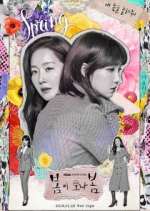 Watch Spring Turns to Spring Movie4k