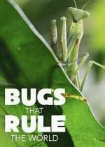 Watch Bugs that Rule the World Movie4k