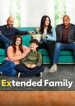 Watch Extended Family Movie4k