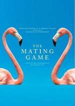 Watch The Mating Game Movie4k