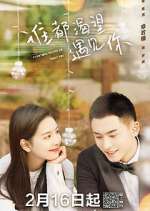 Watch Everyone Wants to Meet You Movie4k