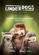 Watch Underdogs Movie4k