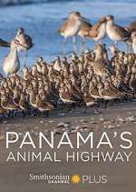 Watch Panama's Animal Highway Movie4k