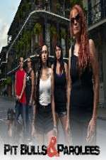 Watch Pit Bulls and Parolees Movie4k
