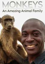 Watch Monkeys: An Amazing Animal Family Movie4k