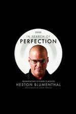 Watch In Search of Perfection Movie4k