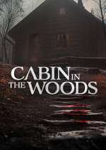 Watch Cabin in the Woods Movie4k