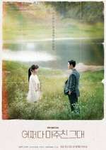 Watch Met You By Chance Movie4k