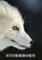 Watch Stormborn Movie4k