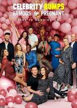 Watch Celebrity Bumps: Famous & Pregnant Movie4k