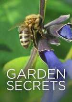Watch Garden Secrets Movie4k