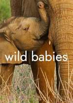 Watch Wild Babies Movie4k