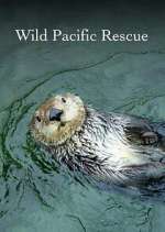 Watch Wild Pacific Rescue Movie4k