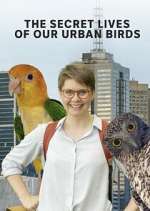 Watch The Secret Lives of Our Urban Birds Movie4k