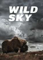 Watch Wild Sky Movie4k