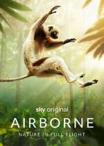 Watch Airborne Movie4k