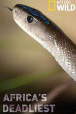 Watch Africas Deadliest Movie4k