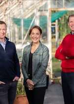 Watch Ear to the Ground Movie4k