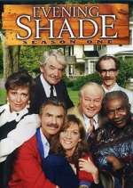 Watch Evening Shade Movie4k