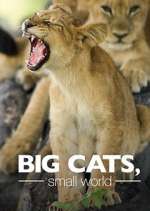 Watch Big Cats, Small World Movie4k